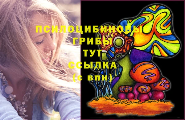 Альфа ПВП Алзамай