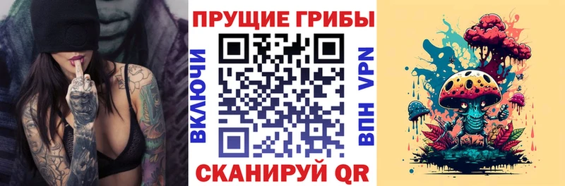 Псилоцибиновые грибы MAGIC MUSHROOMS Тюкалинск