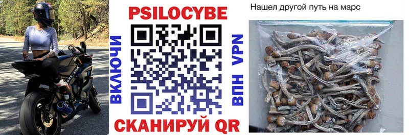 Галлюциногенные грибы Psilocybe  Тюкалинск 